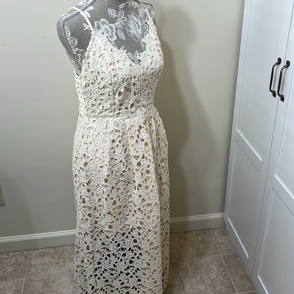 Astr Cream Lace Midi Dress - Picture 13 of 13